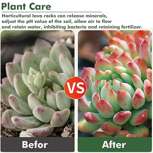 11 Pounds Mix Lava Rocks, 5-8 mm Red and Black Lava Rocks for Plants, Bonsai Rocks Horticultural Grit Soil Cover Gravel for Succulents and Hydroponics, Fairy Gardening, Top Dressing, Plant Drainage