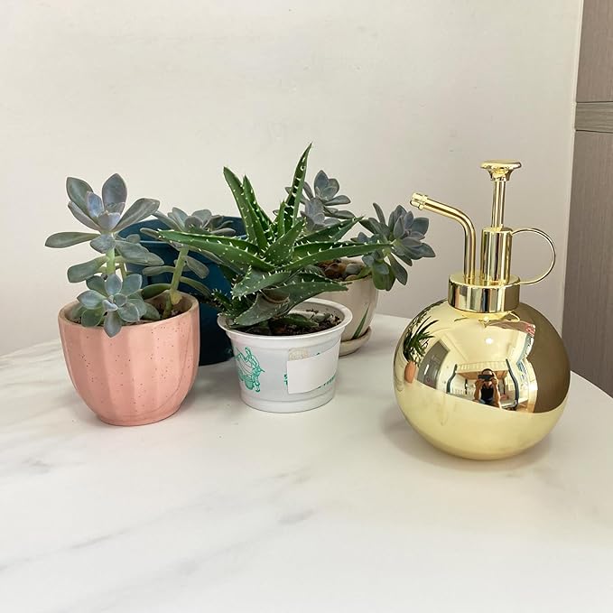 Plant Mister Spray Bottle Stainless steel plant sprayer, small watering can plant spray bottle Modern gardening tools for indoor potted plants watering and spraying