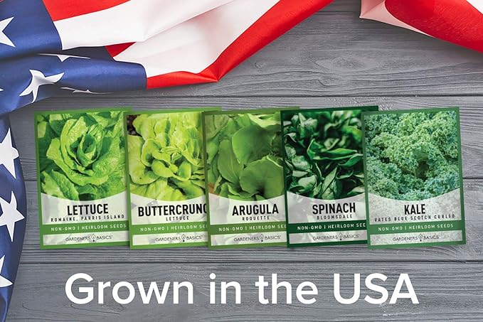 Lettuce and Greens Heirloom Vegetable Seed Non-GMO Seeds for Planting Indoors and Outdoor 5 Packs - Lettuce Buttercrunch, Romaine, Arugula, Kale and Spinach By Gardeners Basics