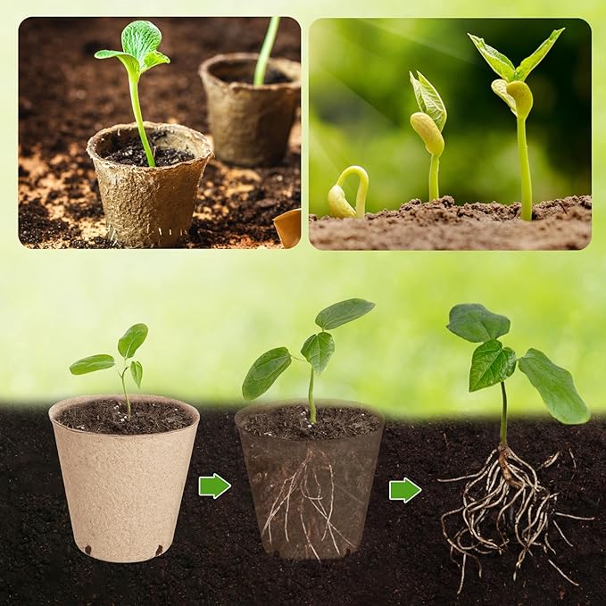 66 Pack Organic Peat Pots, 3.15 Inch Nursery Pot, Round Plant Seedling Pots with Drainage Holes, Small Seed Starting Starter Tray Bulk, Garden Germination Container with 66 Planting Labels (8 cm)