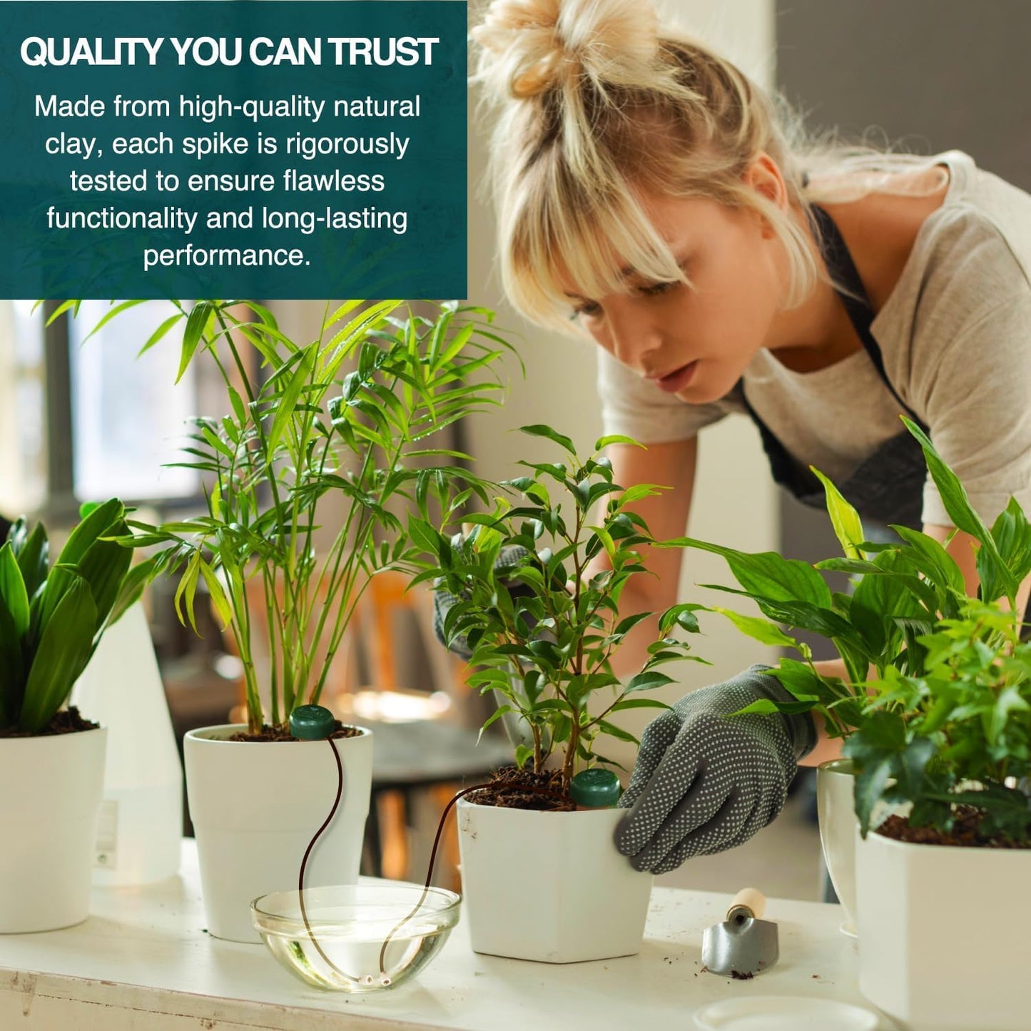 Blumat Classic Plant Watering Stakes with Adapter - Self Watering Planter Insert for Pots - Automatic Plant Waterer & Plant Accessories (10 Pack)