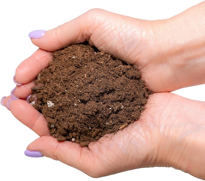 Gardenera's Premium Orange Tree Soil Mix - Quick Drain Potting Soil for Growing and Repotting Citrus Sinensis - 1 Quart