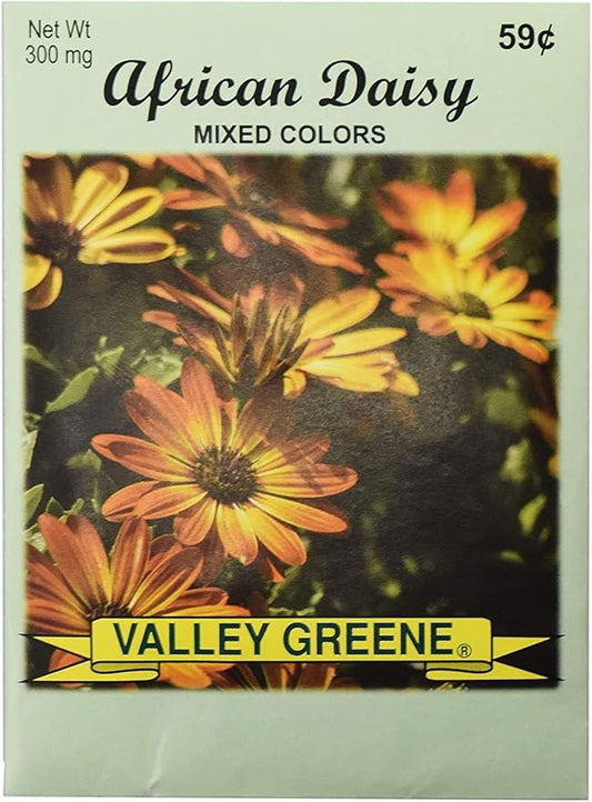 Set of Flower Seed Packets! Flower Seeds in Bulk - Great for Creating The Garden of Your Dreams! (200, African Daisy)