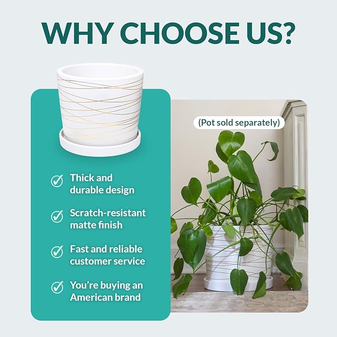 Willowy Matte White Ceramic Pot Saucer - Drainage Tray for 12, 13, 14, 15 Inch Planters + More Sizes