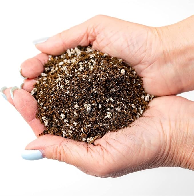 Premium Organic Potting Soil for Eggplants - (2 Quart Bag)