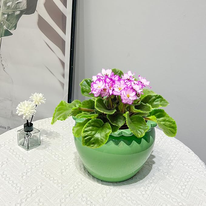 Large African Violet Pots 8 Inch Green Ceramic Easy Plant Self Watering Pot Ceramic Flowerpot with Water Absorbing Inner Pot Orchid Planter for Valentine's Day
