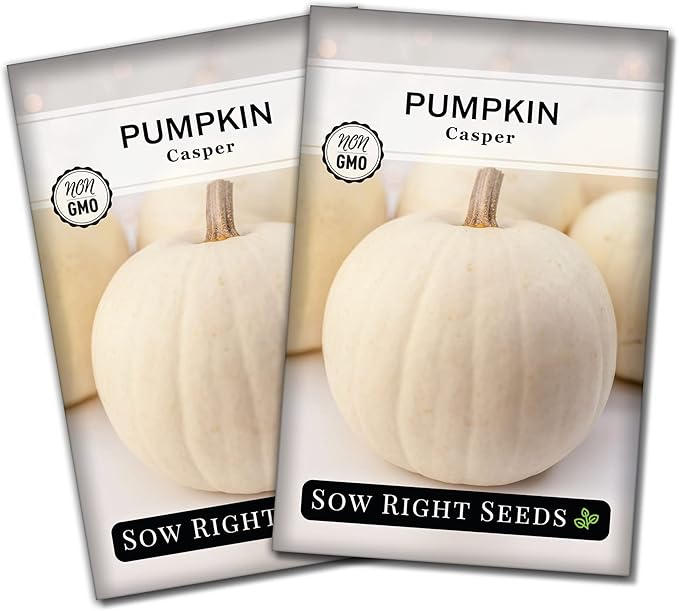 Sow Right Seeds - Casper Pumpkin Seed for Planting - Non-GMO Heirloom Packet with Instructions to Plant a Home Vegetable Garden - Striking White Variety - Autumn Decor or Unique Jack o Lanterns (2)