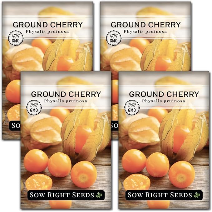 Sow Right Seeds - Ground Cherries Seeds for Planting - Non-GMO Heirloom Packet with Instructions to Plant an Outdoor Home Vegetable Garden - Mexican Husk Tomato - Endangered Variety (4)