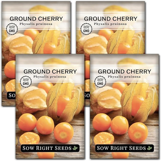 Sow Right Seeds - Ground Cherries Seeds for Planting - Non-GMO Heirloom Packet with Instructions to Plant an Outdoor Home Vegetable Garden - Mexican Husk Tomato - Endangered Variety (4)