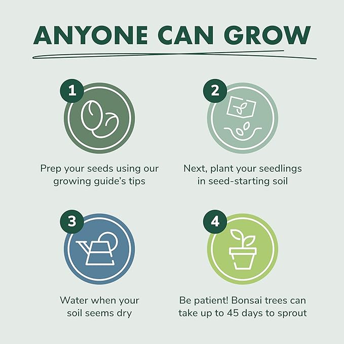 Bonsai Tree Seed Starter Kit - Mini Bonsai Plant Growing Kit, 4 Types of Seeds, Potting Soil, Jute Bags, Pruning Shears Scissor Tool, Plant Markers, Wood Gift Box, Day Gardening Gifts for Women