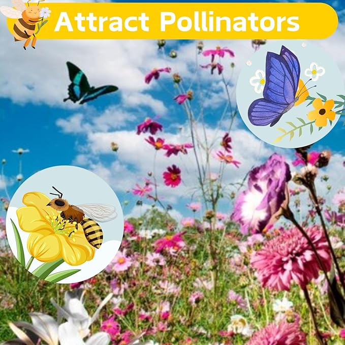 20000+ Double Moss Rose Seeds for Planting - Annual Portulaca Flower Seeds to Plant Outside, Mexican Rose, Sun Rose, Rock Rose, 4 Seasons 5 Grams