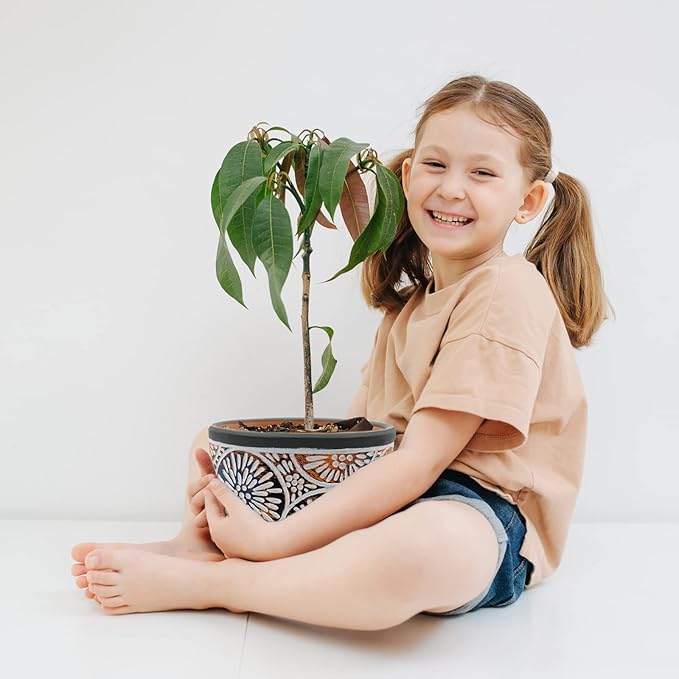 DeeCoo 3 Piece Ceramic Plant pots for Indoor with Drainage Holes, 5.7/4.7/3.5/inch, Modern Decorative Flower pots Outdoor Plants Lilies, Cacti, Succulents, Snakes, and Bamboo (Gray)