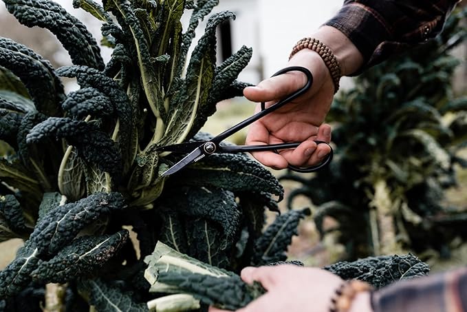 Barebones Artisan Trimming Shears - Gardening Shears and Herb Scissors - Essential Gardening Tools for Herb Gardens and Planting - Rust-resistant Garden Clippers