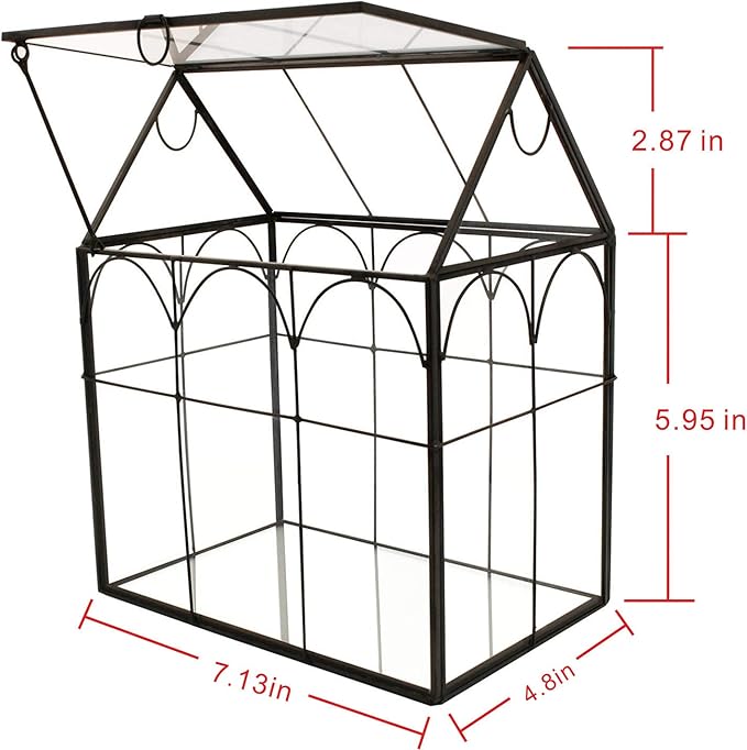 Glass Geometric Plant Terrarium,Succulent & Air Planter for Home Garden Office Decoration (Black House)