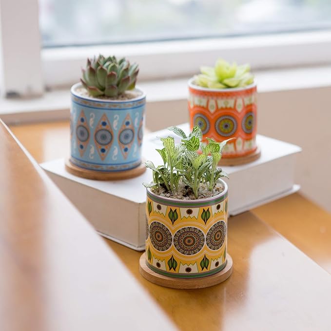Succulent Plant Pots - 3.1 inch Ceramic Succulent Planter -Cylinder Flower Pots for Cactus with Drainage Hole and Bamboo Tray, 6 Pack (Multicolor1)