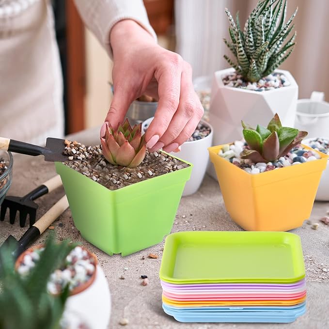 100 Pieces 4 Inch Flower Pots Square Plants Nursery Pot Plastic Plant Seedling Pots Nursery Transplanting Planter Container with Saucer for Indoor Herbs Succulents Balcony Garden Office (Colorful)