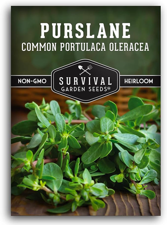 Common Purslane Seed for Planting - 1 Packet with Instructions to Plant & Grow Green Portulaca Oleracea in Your Home Vegetable Garden - Non-GMO Heirloom Variety Vegetable Seed - Survival Garden Seeds