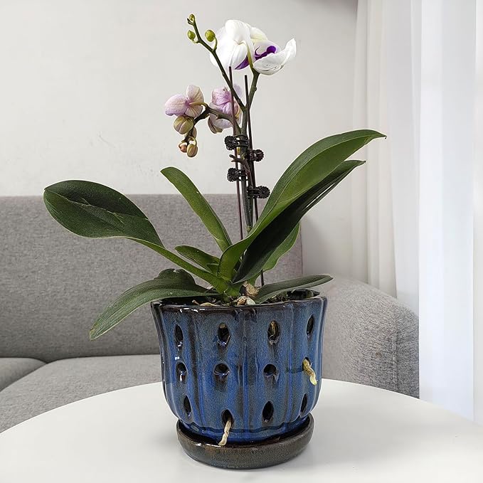 6 inch Round Ceramic Orchid Pot with Holes Orchid Planter (Dark Blue)