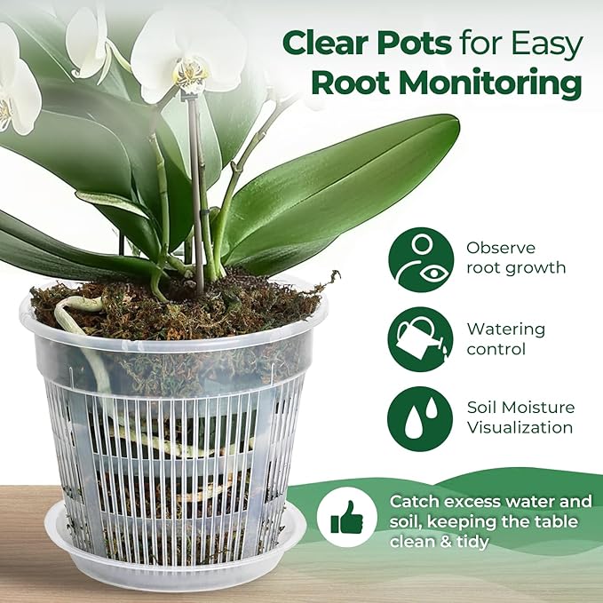 T4U Orchid Pot, 6 Pack 4.3 Inch Orchid Pots with Holes and Saucers, Clear Orchid Pots for Repotting, Plastic Flower Plant Pot for Indoor Outdoor Plants, Slotted Orchids Planter for Root Health