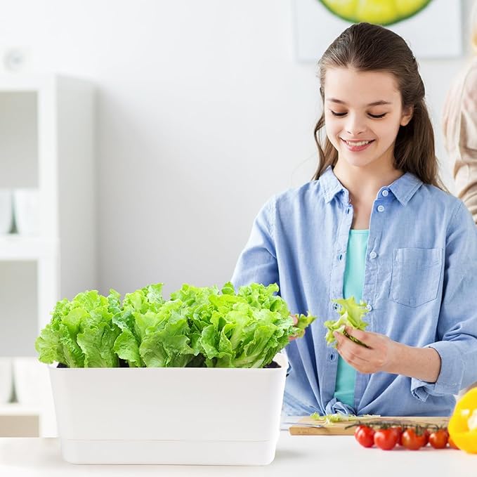 Herb Garden Planter Indoor Kit Self Watering Pots for Indoor/Outdoor Plants 2 Packs Windowsill Plant Pots with Drainage and Tray, Window Pot for Indoor Plants