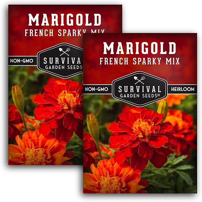 Survival Garden Seeds - French Sparky Marigold Seed for Planting - 3 Packs with Instructions to Plant and Grow Large Tagetes Patula Flowers in Your Home Vegetable Garden - Non-GMO Heirloom Variety