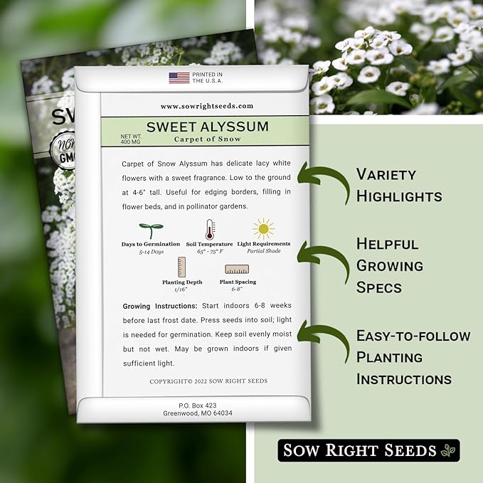 Sow Right Seeds - Sweet Alyssum White Carpet of Snow Flower Seeds for Planting - Non-GMO Heirloom Packet with Instructions to Plant in Your Garden - White Perennial - Groundcover with Blooms (1)