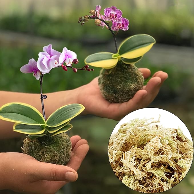 Sphagnum Moss for Plant Long Fiber Dried Forest Moss for Orchid Moss Potting Mix Natural Plant Moss for Carnivorous Plants Succulent Reptile (2.6)