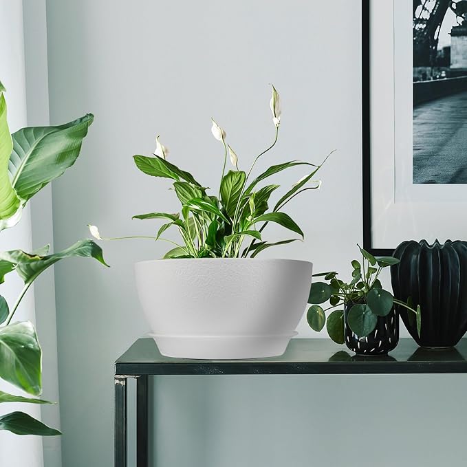 8 inch Plant Pots Pack of 2, Plastic Planter with Drainage Holes and Saucers, Plant pots for Indoor Outdoor Use, Flower Pots for All House Plants (White)