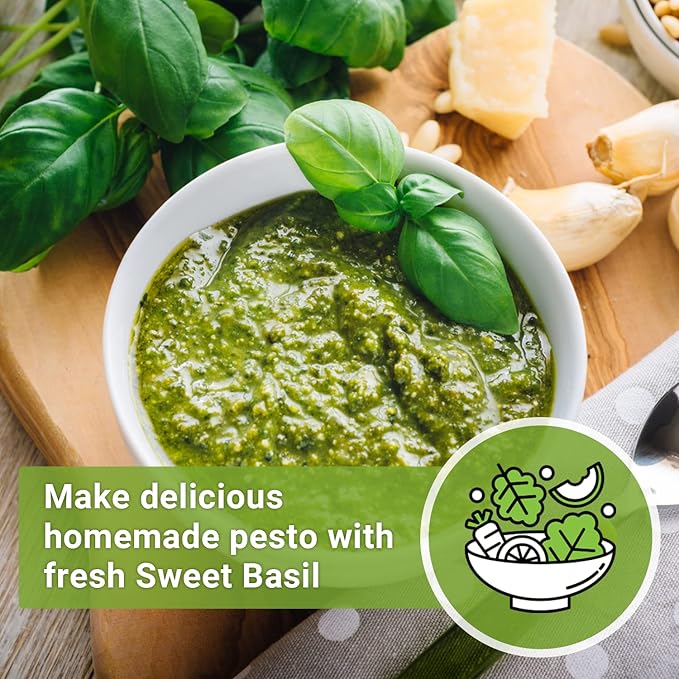 Sow Right Seeds - Genovese Sweet Basil Seed for Planting - Non-GMO Heirloom Packet with Instructions to Plant and Grow a Kitchen Herb Garden - Indoors or Outdoor - Great for Hydroponic Gardening (1)