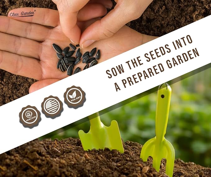 Sunflower Seeds - Teddy Bear - 50 Seeds - Heirloom, Non-GMO, USA Grown, Excellent for Pollinators, Annual, Deer Resistant - Sunflower Seeds for Any Home Garden