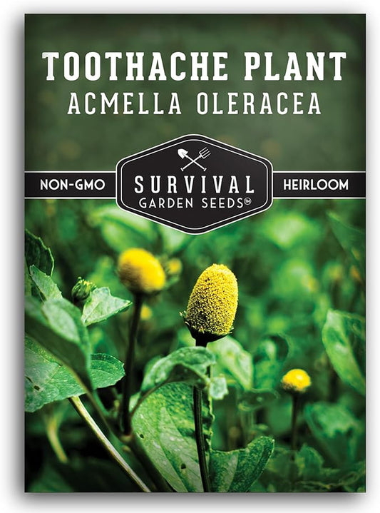 Toothache Plant Seeds for Planting - 1 Packet with Instructions to Plant and Grow Electric Daisy in Your Home Herb Garden - Non-GMO Heirloom Variety - Survival Garden Seeds