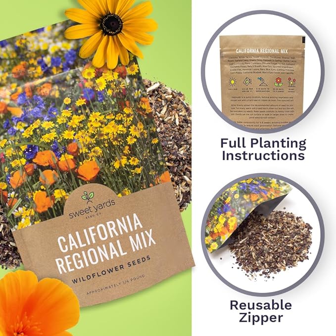 California Wildflower Mixture - Bulk 1/4 Pound Bag - Over 30,000 Native Seeds - Open Pollinated and Non GMO