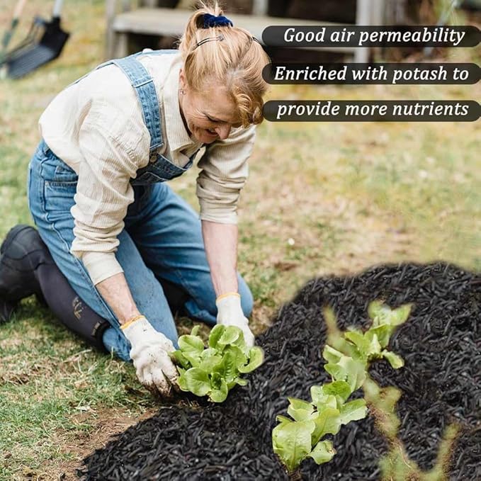 Horticultural Charcoal, Rice Husk Natural Activated Charcoal for Plants Indoor Biochar Soil Amendment Organic for Terrariums - 1.1 lbs