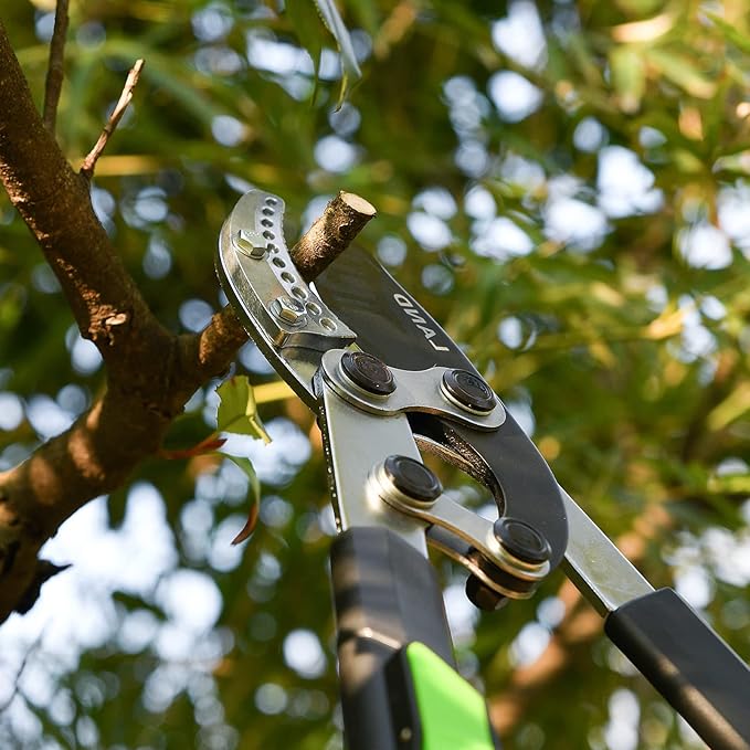 LAND Extendable Anvil Loppers Tree Trimmer with Compound Action, 29-34 Inch Telescopic, Long Handled Heavy Duty Branch Cutter, Chops Thick Branches with Ease.