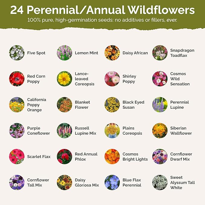 Eden Brothers Southeast Wildflower Mixed Seeds for Planting, 10 lb, 4,800,000+ Seeds with Cornflower, Blanket Flower | Attracts Pollinators, Plant in Spring or Fall, Zones 3, 4, 5, 6, 7, 8, 9, 10
