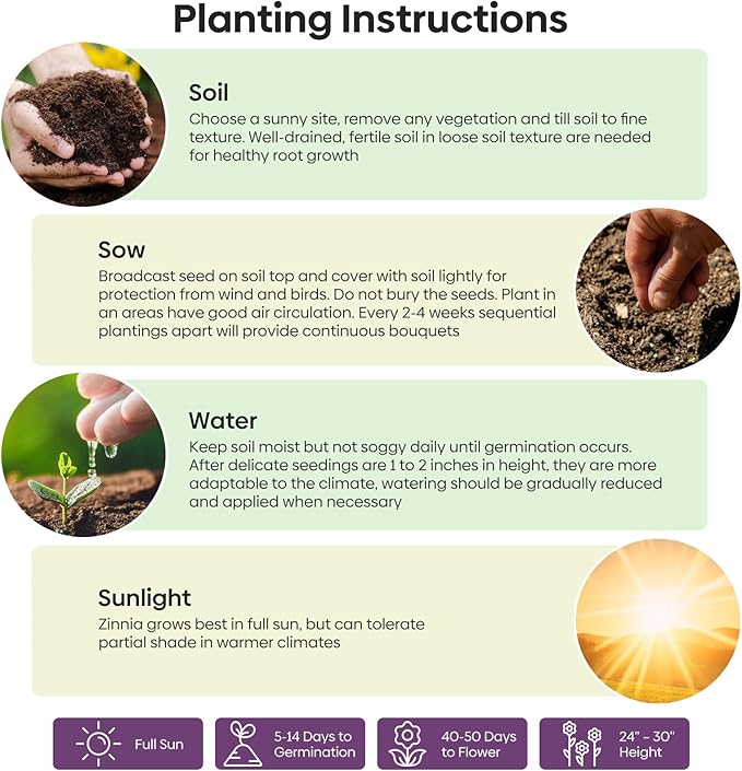 Zinnia Seeds Mix, 1 Oz, Over 3,000 Flowers Seeds, 5 Varieties Garden Seeds (Pink, Yellow, Orange, White, Purple), Mixed Colors and Large Blooms, Seeds for Planting, Open Pollinated - Bulk