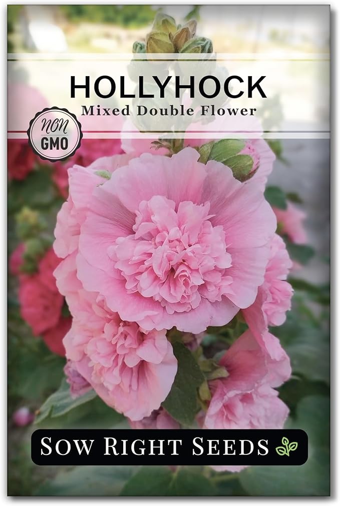 Sow Right Seeds - Double Flower Mixed Hollyhock Seeds for Planting - Non-GMO Heirloom Packet with Instructions to Plant an Outdoor Cottage Garden - Tall Ruffled Mix of Pink, Yellow, Red & White (1)