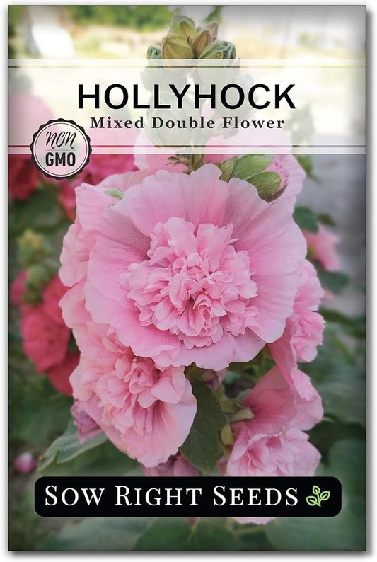 Sow Right Seeds - Double Flower Mixed Hollyhock Seeds for Planting - Non-GMO Heirloom Packet with Instructions to Plant an Outdoor Cottage Garden - Tall Ruffled Mix of Pink, Yellow, Red & White (1)