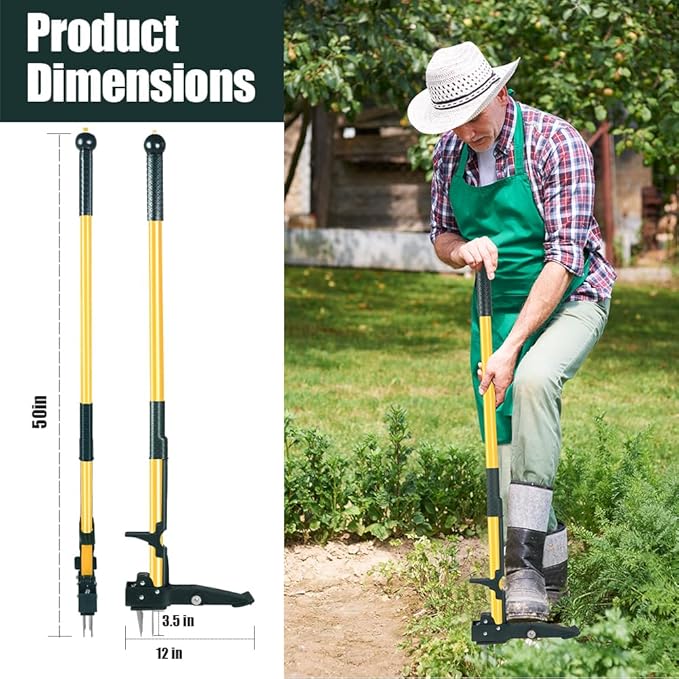 Weed Puller Tool, 50IN Long Handle 4 Claws Stand Up Weeding Tool, Extra Thickened Stainless Steel Shaft Garden Weeder,Remove the Roots of Thistles, Crabgrass, Dandelions, and Blackberries, etc.