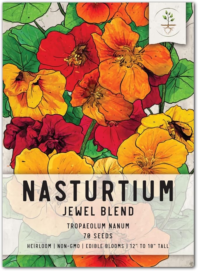 Seed Needs, Jewel Blend/Mix Nasturtium Seeds for Planting Outdoors (Edible Wildflowers, Perfect for Garnishing) Heirloom, Non-GMO & Untreated (1 Pack)