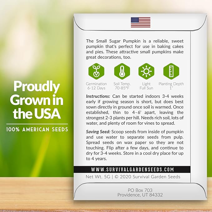 Survival Garden Seeds - Small Sugar Pumpkin Seed for Planting - 3 Packs with Instructions to Plant and Grow Pie Pumpkins in Your Home Vegetable Garden - Non-GMO Heirloom Variety