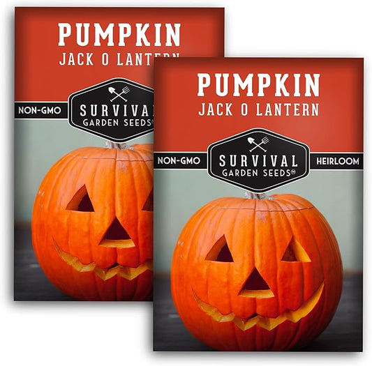 Survival Garden Seeds - Jack-O-Lantern Pumpkin Seed for Planting - 2 Packs with Instructions to Plant and Grow Orange Carving Pumpkins in Your Home Vegetable Garden - Non-GMO Heirloom Variety