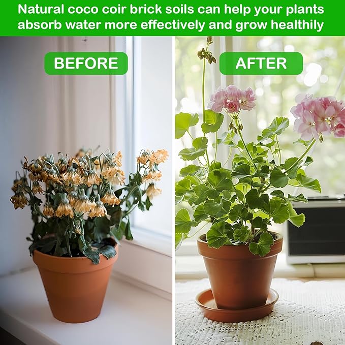 J6&H6 6 Pack Natural Organic Coco Coir Bricks for Plants,Coconut Soil with Low EC Value and PH,Easy to Expand Coconut Coir Bricks Potting Soil,Suitable for Garden Planting Flowers and Vegetables