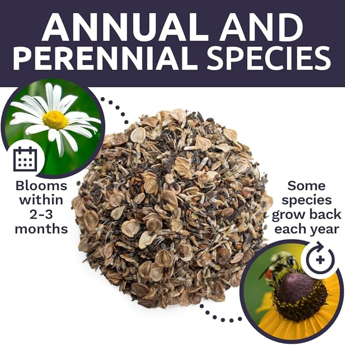 Drought Tolerant Wildflowers Mix – Extra Large Packet – Over 7,500 Open Pollinated Non-GMO Seeds – 21 Different Dryland Species