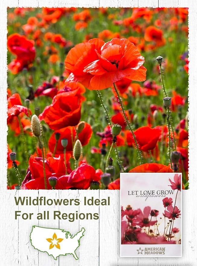 American Meadows Wildflower Seed Packets ''Let Love Grow'' Party Favors (Pack of 20) - Wildflower Seed Mix, Party Favors for Weddings, Valentine's Day, Anniversaries, Thank You