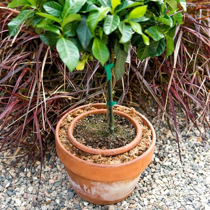 SuperMoss (22330) Orchid Sphagnum Moss Dried, Natural, 2.1lbs Small Bale