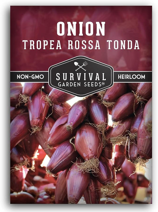 Tropea Rossa Tonda Onion Seeds for Planting - 1 Packet with Instructions to Plant and Grow Italian Long Day Onions in Your Home Vegetable Garden - Non-GMO Heirloom Variety - Survival Garden Seeds