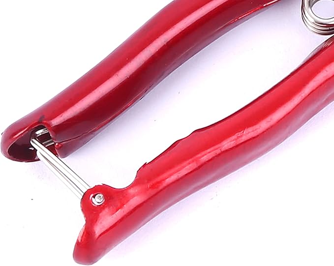 Grass Shear Sheep Shear Alpaca Shear - Coated Wear-Resistant Handle, Manganese Steel Double Blade, Strong Spring Suitable For Cattle And Sheep and Horse Hair Hand-Cut (Red 12.6 inches)