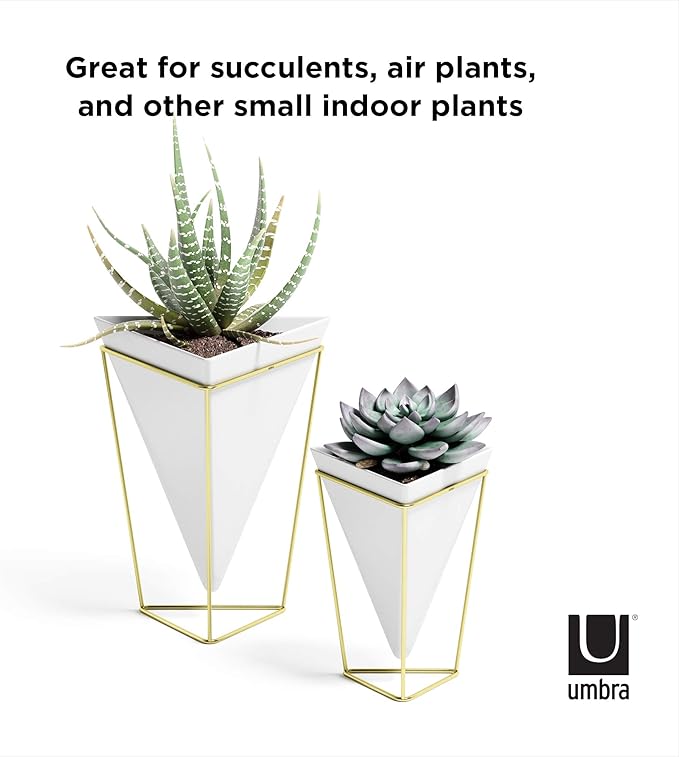 Umbra - 1004372-524 Trigg Desktop Planter Vase & Geometric Container-for Succulent, Air, Mini Cactus, Faux Plants and More, Desk, White/Brass