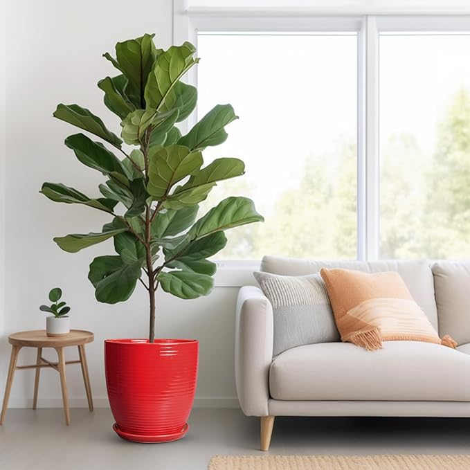 Ceramic Pot for Plants 12 Inch - Plant Pot Indoor with Drainage Hole and Saucer Round Large Planter for Outdoor Plants Mid Century Modern Flower Pot for Home Decor Red